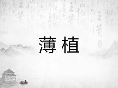 薄植