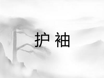 护袖