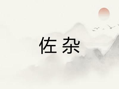 佐杂