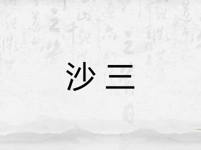 沙三