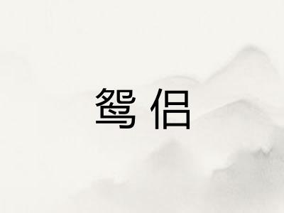 鸳侣