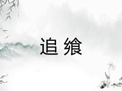 追飨
