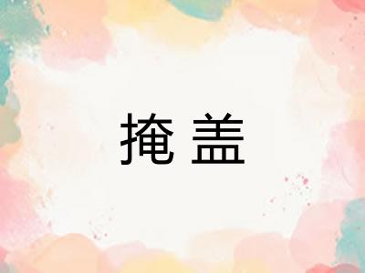 掩盖