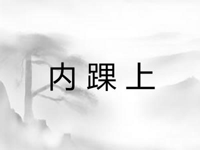 内踝上