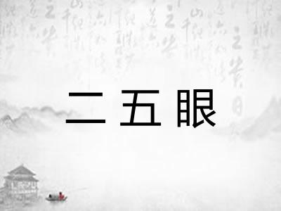 二五眼
