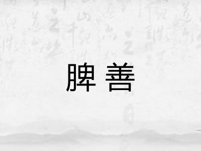 脾善
