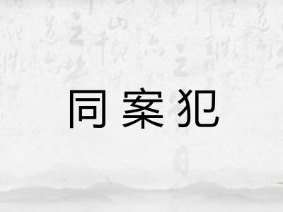 同案犯
