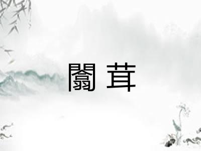 闟茸
