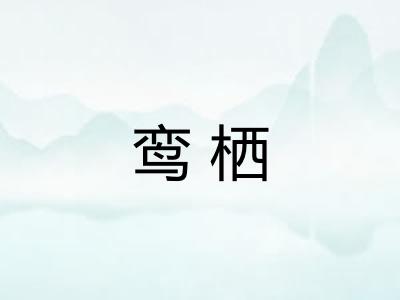 鸾栖
