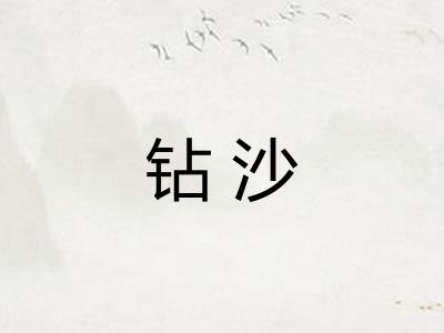 钻沙