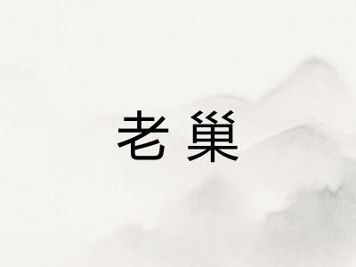 老巢
