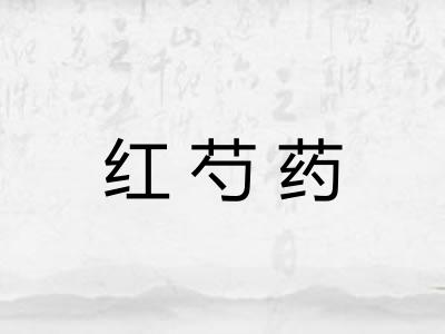 红芍药