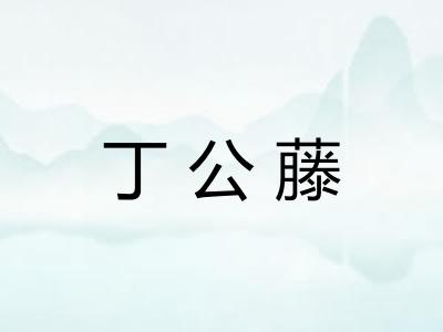 丁公藤