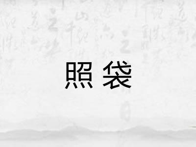 照袋