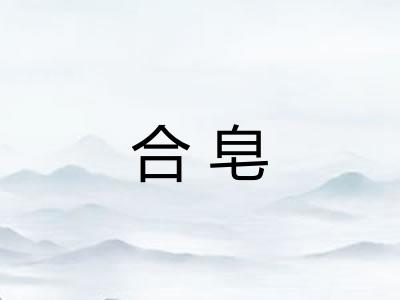 合皂