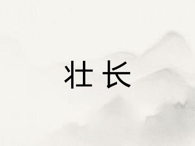 壮长