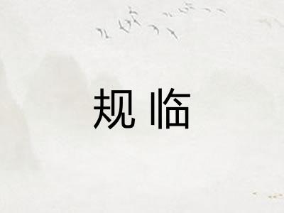 规临