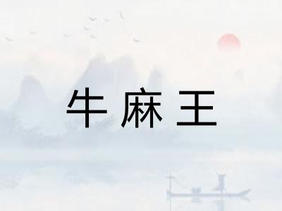 牛麻王