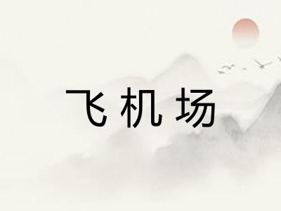 飞机场