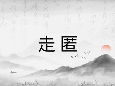 走匿