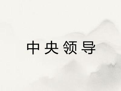 中央领导
