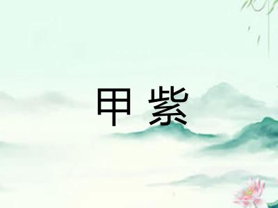甲紫