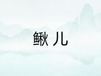 鳅儿