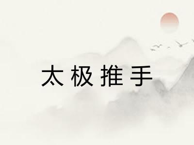 太极推手