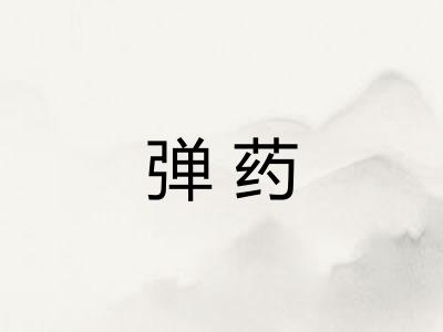 弹药