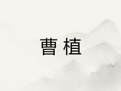 曹植