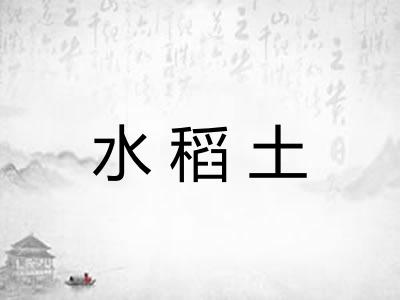水稻土