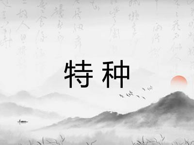 特种