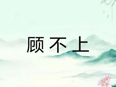 顾不上