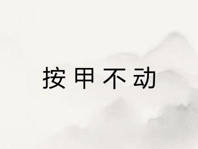 按甲不动