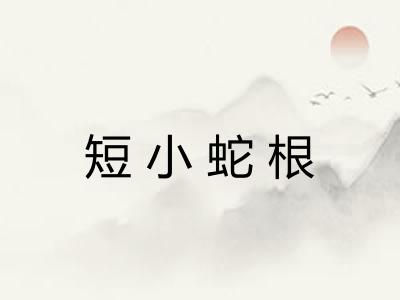 短小蛇根