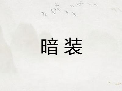暗装