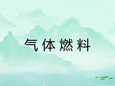 气体燃料