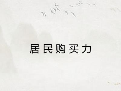 居民购买力