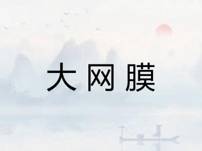 大网膜