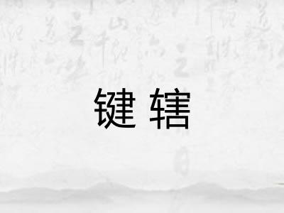 键辖