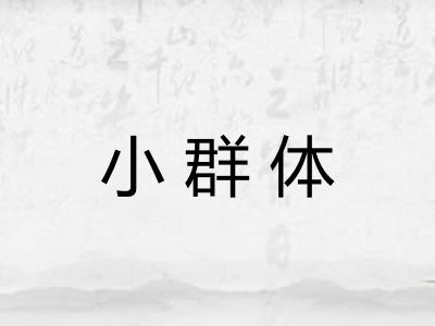 小群体