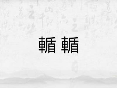 輴輴
