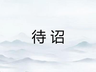 待诏