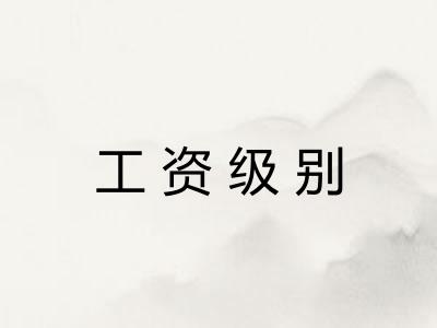 工资级别