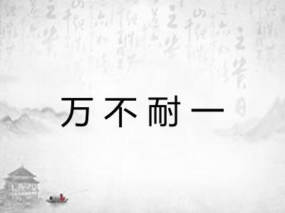 万不耐一