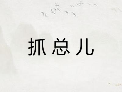 抓总儿