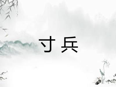 寸兵