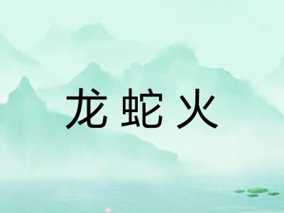 龙蛇火