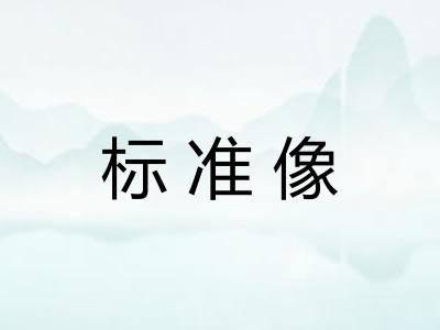 标准像