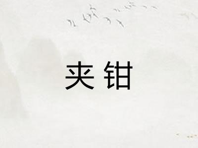 夹钳